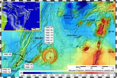 Dissolved Gas and Metal Composition of Hydrothermal Plumes From a 2008 Submarine Eruption on the Northeast Lau Spreading Center